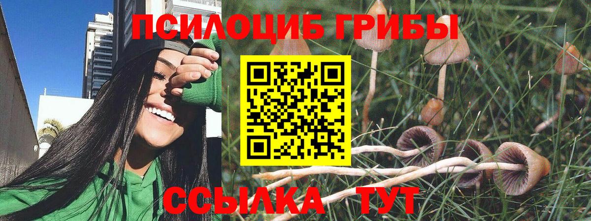 Псилоцибиновые грибы мицелий Самара